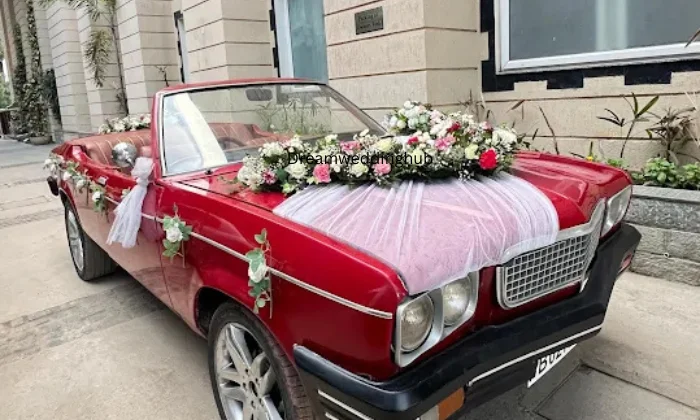 Sai cars for shoot  wedding